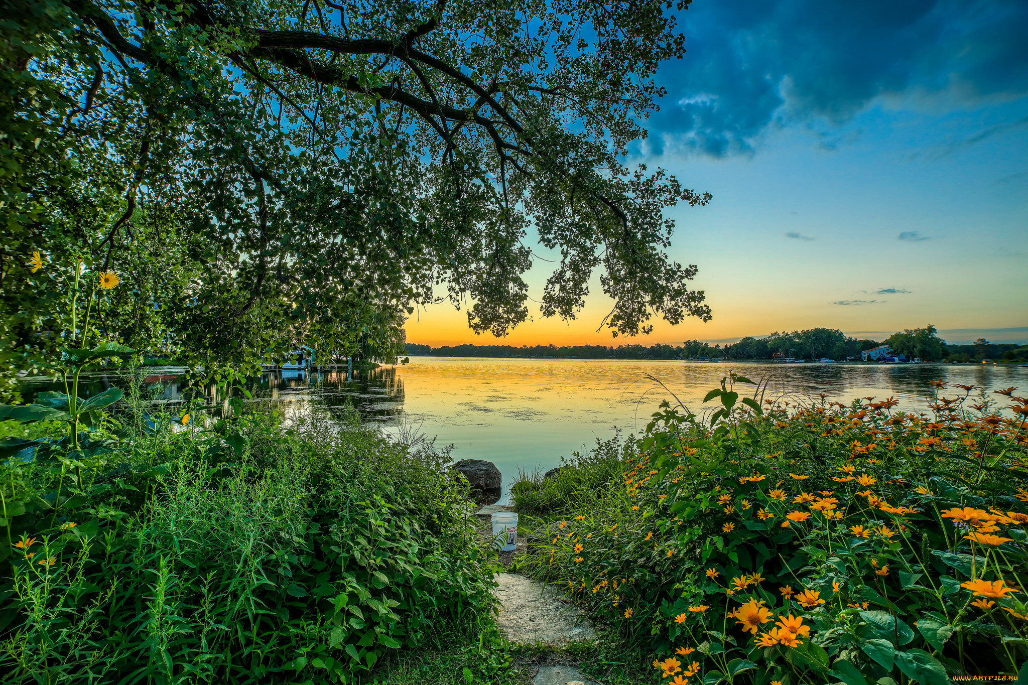 Спокойной утро природа. Озеро Дивное Калининград. Природа летом. Лето озеро. Летний пейзаж.